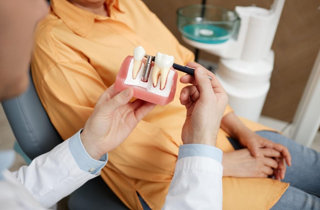 A dentist showing a model of dental implants and how they work